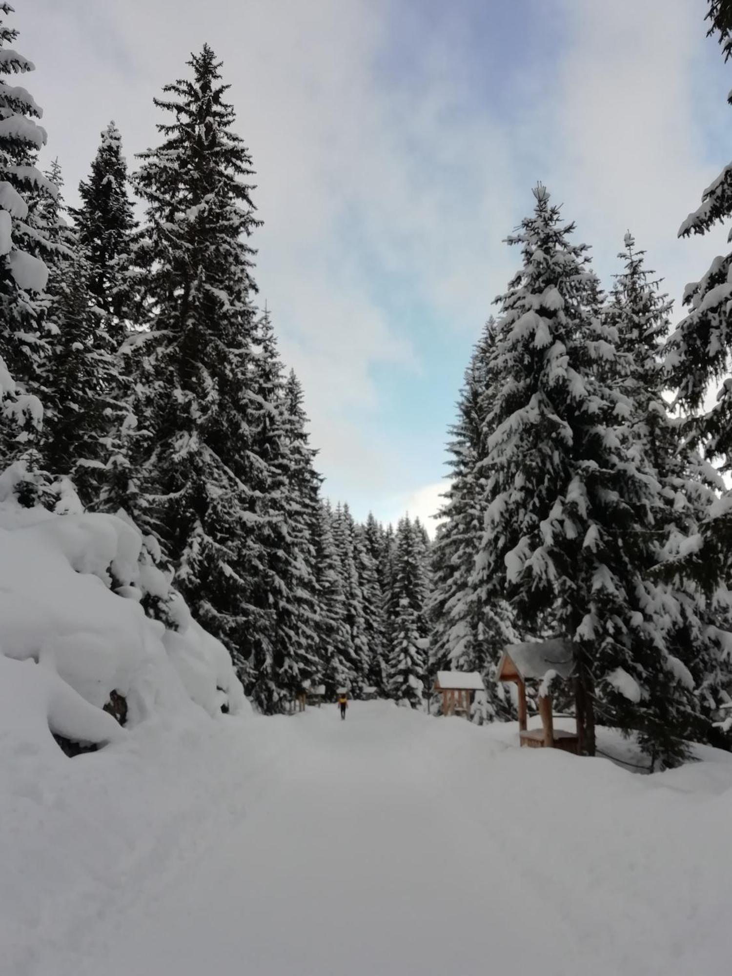 זבליאק Chalet Kovacevic מראה חיצוני תמונה